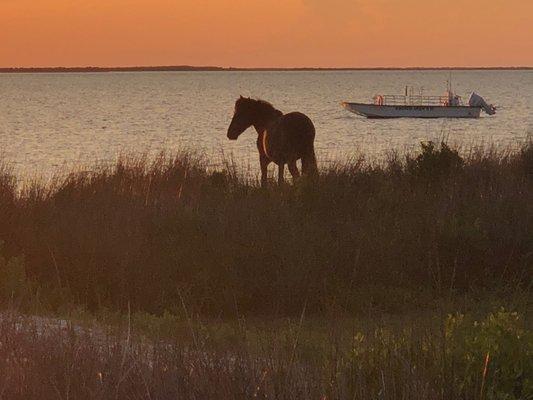 Sunrise on Back Sound