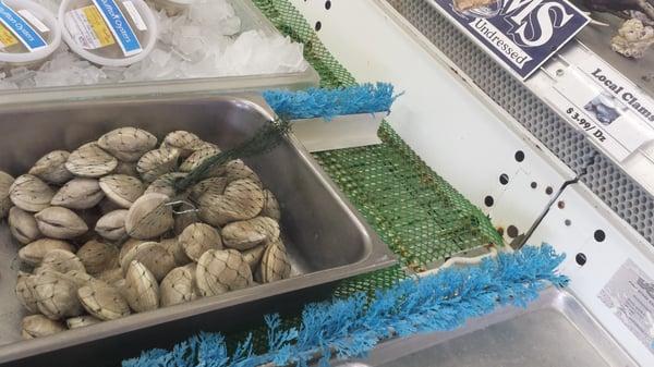 Clams 3.99 lb