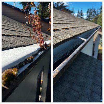 DAPrDAN Gutter Cleaning Services