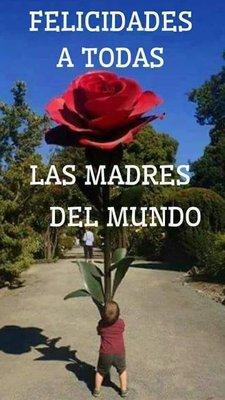 Felicidades #MAMA #DIADELAMADRE #10MAYO muy amables gracias por su ayuda en Los dias terrible. Smile.