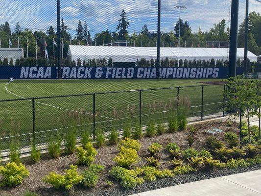 NCAA's Track & Field National Championship #AlwaysUs #PhilyawsCookout