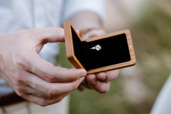 Proposal Photography