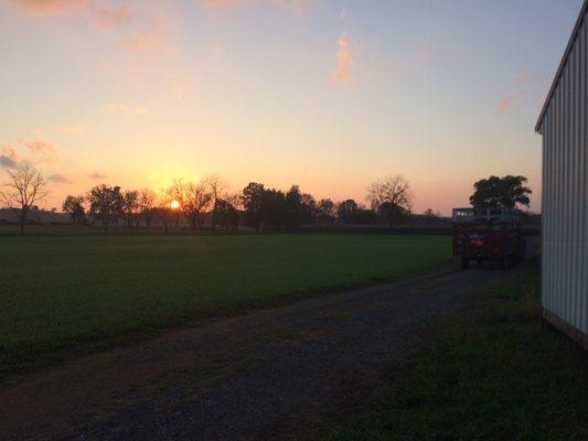 Sunsets are always more beautiful from a hayride !