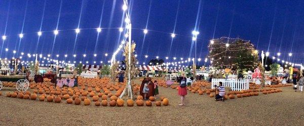 Pumpkin City's Pumpkin Farm 