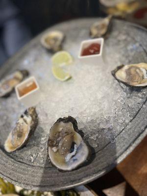 Fresh Oysters on the Half Shell