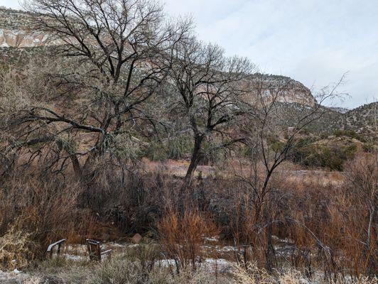 Back yard area, trail along river