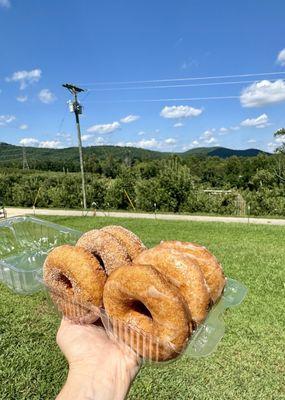 1/2 dozen cider donuts - mix of glazed and cinnamon-sugar