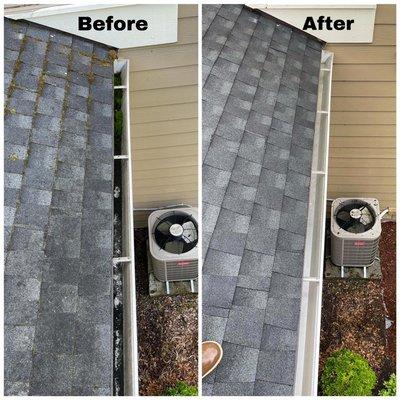 Roof and gutters cleaning