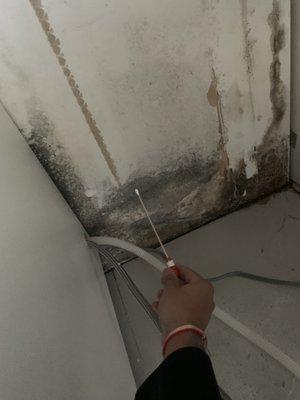 Mold Assessment Services