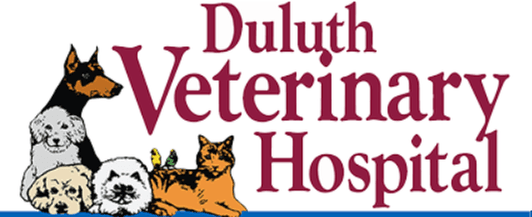 Duluth Veterinary Hospital