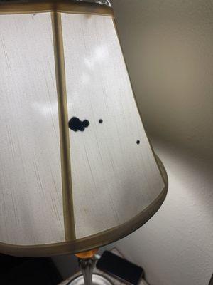 Mold in the lampshade