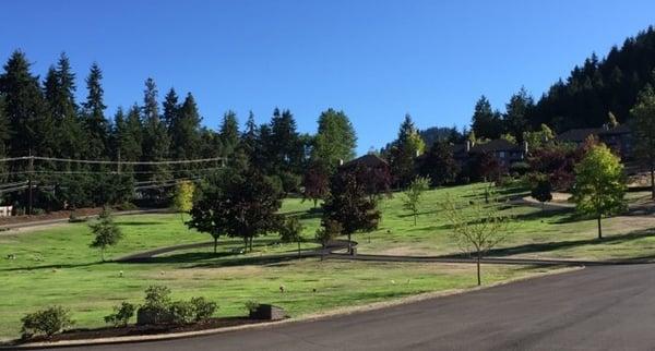 Sunset Hills Cemetery, view looking south from Chapel.