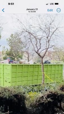 Dumpster needed for the roof that's falling apart, etc.