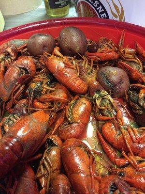 Amazing crawfish!