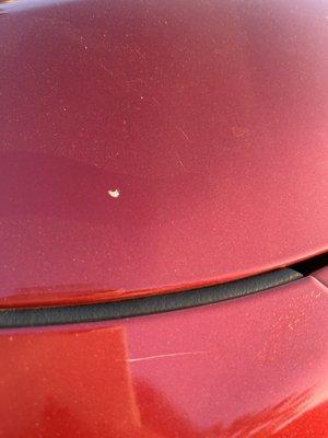 Chipped paint on hood