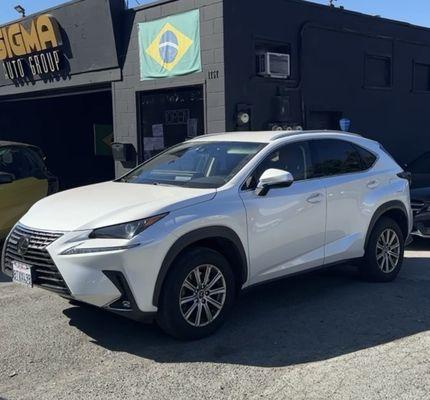 Pearl White Lexus SUV