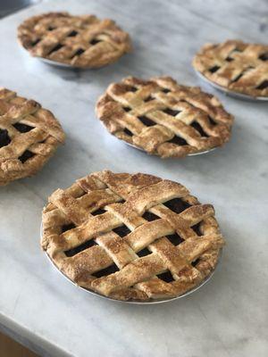 Fresh blueberry pies for the Holiday season!