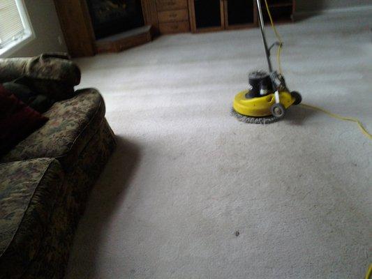 Brian's Carpet Cleaning