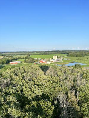 Beautiful treetop view