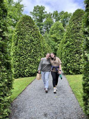 Arborvitae alley