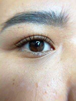 Premium Keratin Lash Lift