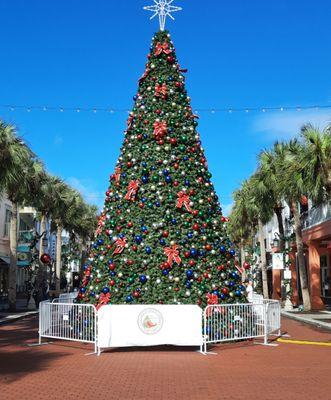 Enjoy the beautiful view in December when eating outside