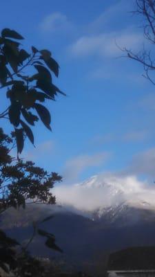 Cucamonga Peak, freshly frosted. A view from the north end of the property.