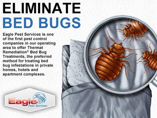 Eliminate Bed Bugs