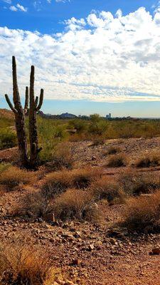 Papago Park - West Park Trailhead