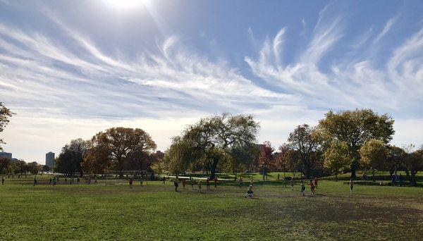 Kid soccer, youth soccer chicago, fall outdoor soccer, Lakefront soccer