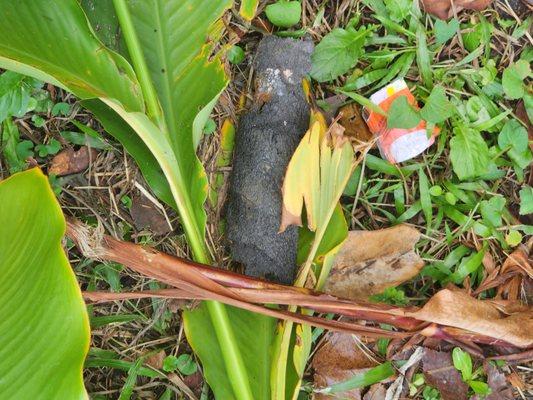 Why did they unwrap this pipe? It was no where near what the were supposed to be doing.