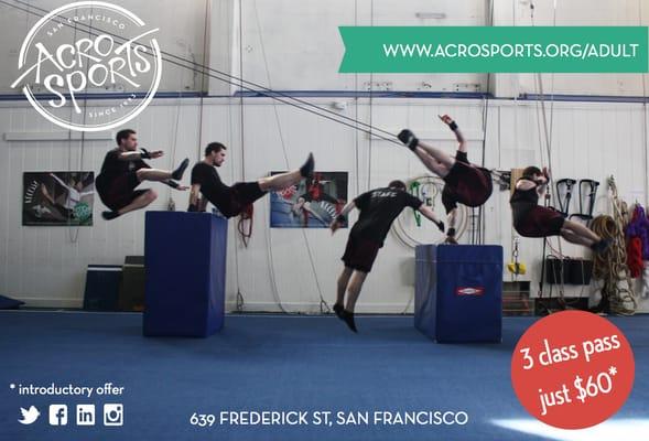 Learn parkour at AcroSports!