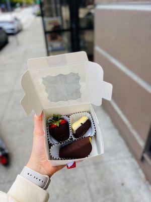 Dashing Dipped Fruit Trio