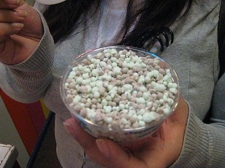 Mint Chocolate Chip Dippin Dots