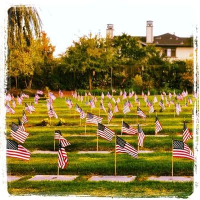 Veterans with their flags