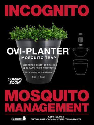 Mosquito trap