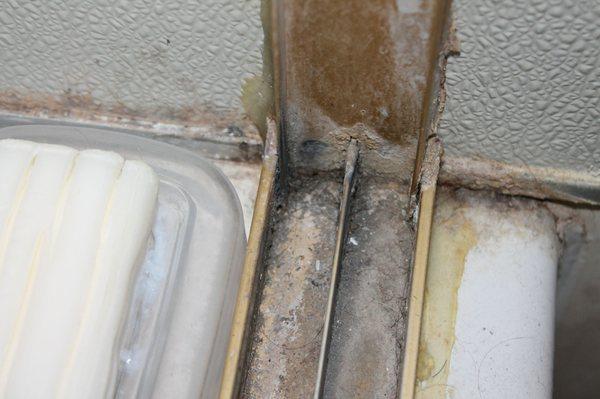 Black mold growing all over in the bathroom.