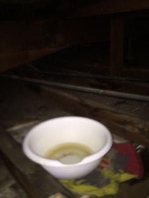 Bowl to hold water in attic above bathroom. You can hear the leak clearly after rain in morning!