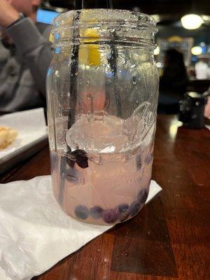 Blueberry lemonade