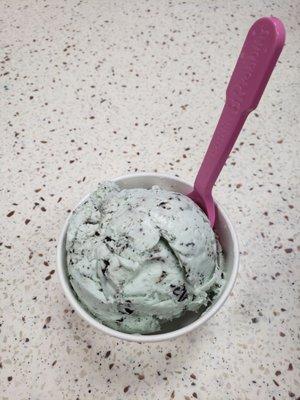 Scoop of mint chocolate chip.