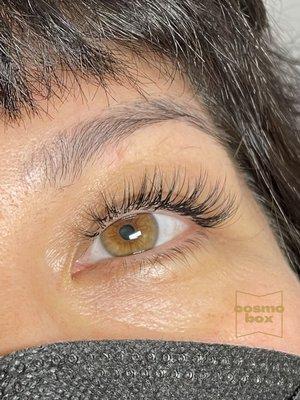 A beautiful set of NATURAL Lash Extensions.