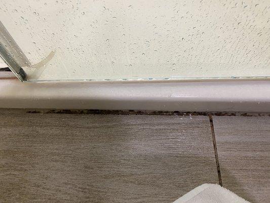 Mold outside of shower door.