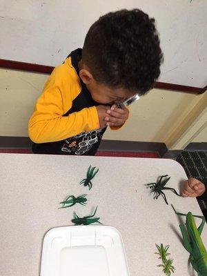 BUGS AND MAGNIFYING GLASSES SCIENCE FUN!