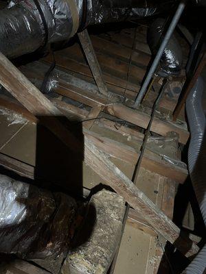 Attic clean and free of old insulation.