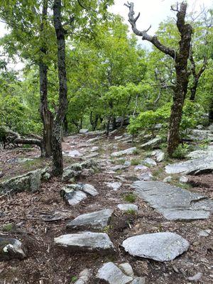 Even hiking in the woods is beautiful