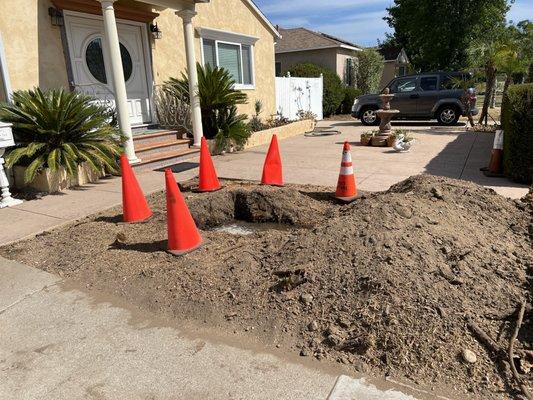 stump removed and dug out for new tree