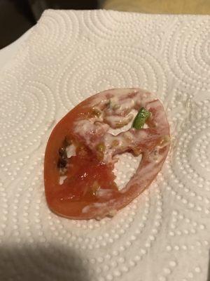 Moldy tomatoes