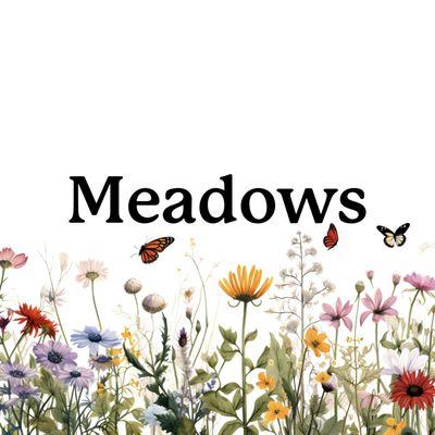 Meadowsbaptist.org