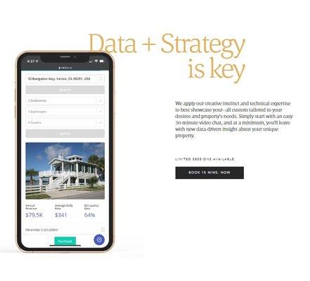 Data + Strategy