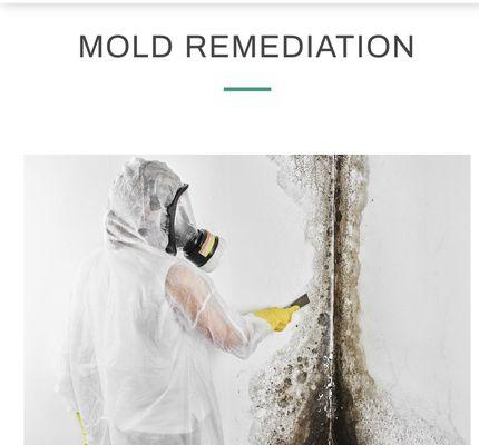 Bioshield Disinfection Services